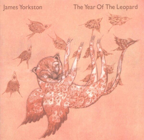 James Yorkston – The Year Of The Leopard double vinyl