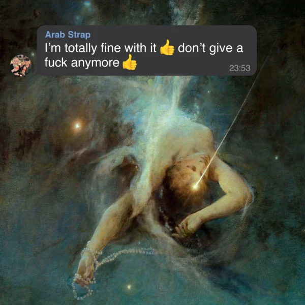 Arab Strap – I'm Totally Fine With It 👍 Don't Give A Fuck Anymore 👍 vinyl