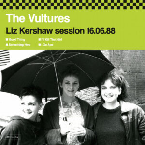 The Vultures – Liz Kershaw Session 16.06.88 10"