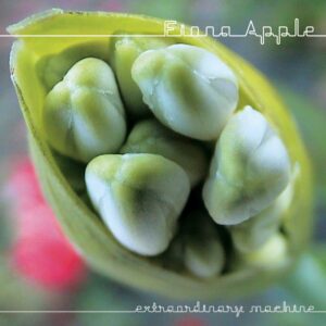 Fiona Apple – Extraordinary Machine CD