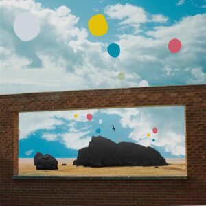 Admiral Fallow - First Of The Birds yellow vinyl