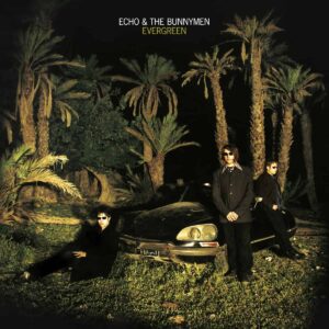 Echo & The Bunnymen - Evergreen white vinyl