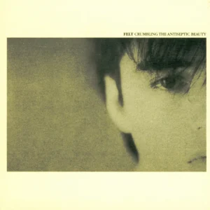 Felt - Crumbling The Antiseptic Beauty